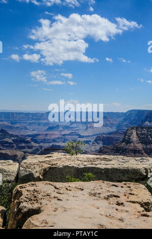 Il Grand Canyon in un pomeriggio d'estate i primi di agosto, vicino deserto vista torre di avvistamento. Foto Stock