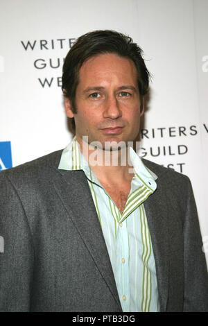 David Duchovny 02/19/05 57TH Annuale Writers Guild AWARDS @ Hollywood Palladium, Hollywood Foto di Izumi Hasegawa/HNW / PictureLux Riferimento File # 33680 178HNW Foto Stock