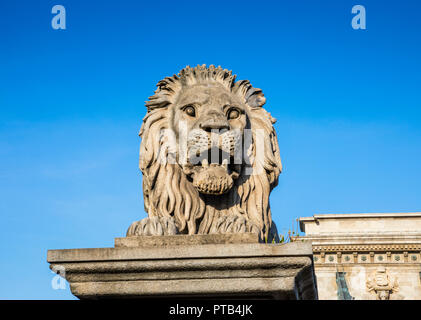 Budapest Lion scultura vicino sul Ponte delle catene sul Danubio Foto Stock