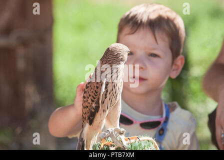 Bambino ragazzo con feriti grillaio a bird rescue center. Educazione ambientale per bambini concept Foto Stock