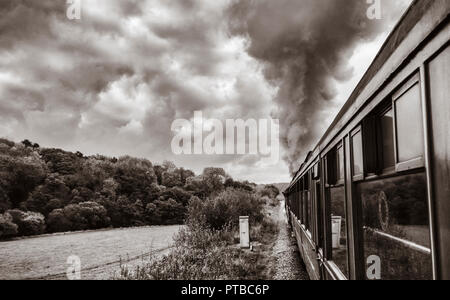 Vista dal treno a vapore che corre tra Pickering e Grosmont sulla North Yorkshire Moors Railway, North Yorkshire, Inghilterra. Regno Unito Foto Stock