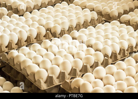 Un sacco di uova di pollo nei vassoi, cernita delle uova di gallina, cibo Foto Stock