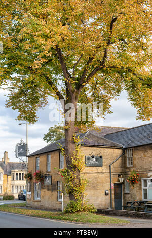 The Swan Inn e lime tree thats cambiando colore di autunno. Moreton in Marsh, Cotswolds, Gloucestershire, Inghilterra Foto Stock