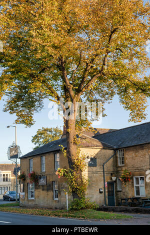 The Swan Inn e lime tree thats cambiando colore in autunno la luce del sole. Moreton in Marsh, Cotswolds, Gloucestershire, Inghilterra Foto Stock