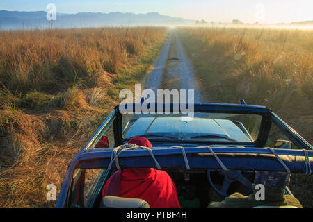 Safari nella prateria del Parco Nazionale di Corbett in inverno mattina Foto Stock