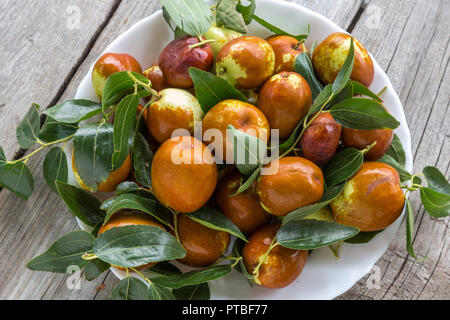 Piastra del giuggiolo frutta, Abruzzo Foto Stock