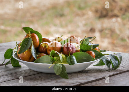 Piastra del giuggiolo frutta, Abruzzo Foto Stock