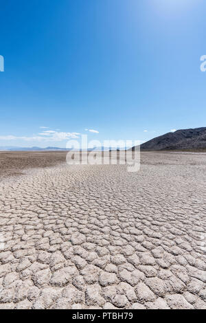 Vista verticale del deserto di soda del lago alla fine del Mojave river vicino Zzyzx California. Foto Stock