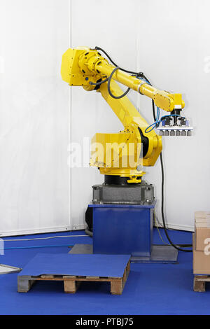 Il braccio robotico per il confezionamento in magazzino logistico Foto Stock