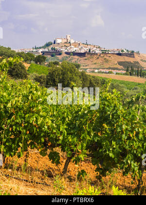 Paesaggio di Estremoz, la Città Bianca nella regione Alentejo, Portogallo. Vitigni nella foregrund. Foto Stock