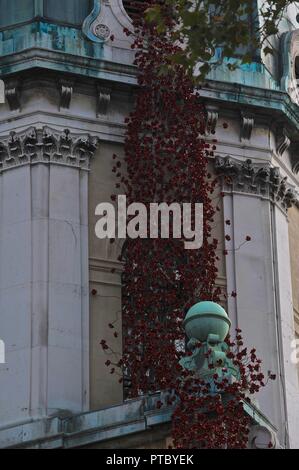 Papaveri cascata al di fuori del museo imperiale della guerra Foto Stock