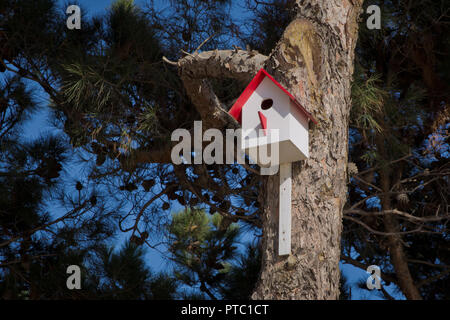 Casa di uccelli appesi dall'albero con il foro di entrata a forma di cerchio. Azerbaigian Baku . Red birdhouse su un albero in un sito grayeyard, mano Foto Stock