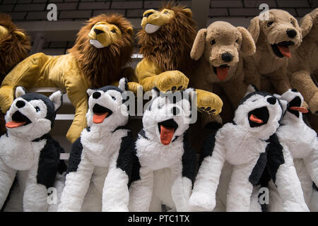 Morbido Peluche giocattoli di cani husky dal negozio per bambini in vendita in un negozio di articoli da regalo Foto Stock