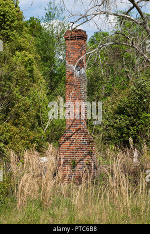 Ciminiera in mattoni...tutto ciò che rimane da vecchia casa in North Central Florida. Foto Stock