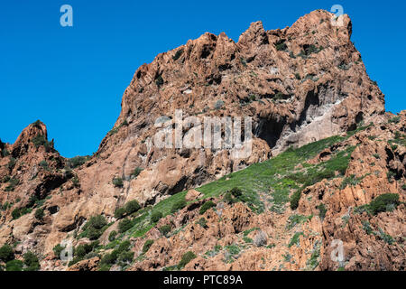 Corse, la Réserve de Scandola, patrimoine mondial de l'Unesco, Parc naturel régional de Corse Foto Stock