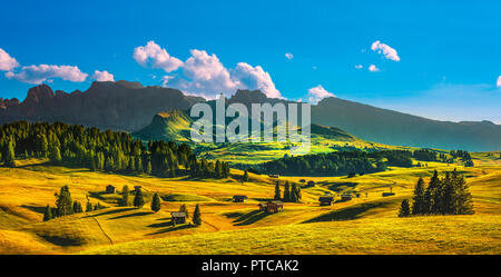 Alpe di Siusi o Alpe di Siusi, capanne di legno vista Alpi Dolomitiche, Trentino Alto Adige Sud Tirolo, Italia, Europa Foto Stock