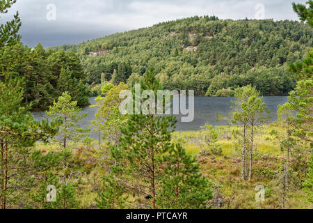 Loch un Eilein, Rothiemurchus foresta, Speyside, Scozia Foto Stock