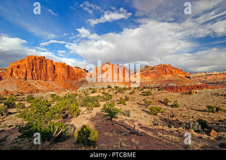 La molla Canyon Panorama nel Capital Reef National Park nello Utah Foto Stock