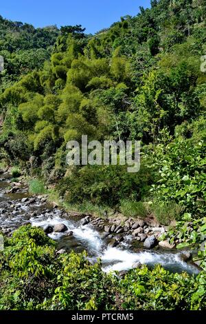 Viaggiare in Giamaica , la natura e la vita locale e del paesaggio Foto Stock