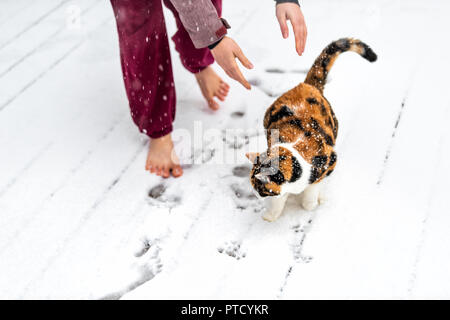 Giovane donna lasciando gatta calico andare da braccia, mani al di fuori, all'aperto sul deck house, in parco nella neve, nevicava meteo durante la tempesta di neve e tempesta di neve Foto Stock