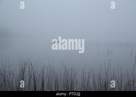 Mattinata nebbiosa Lago di Pietro Foto Stock