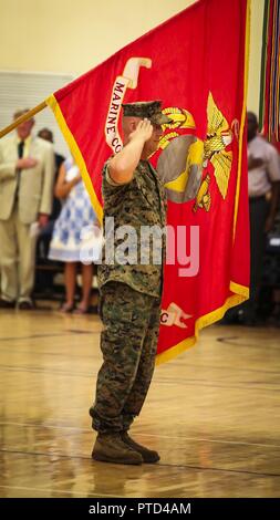 Col. Peter D. Buck è onorata durante un cambiamento di cerimonia di comando a bordo Marine Corps Air Station Beaufort, 7 luglio. Durante la cerimonia, Buck trasferito la responsabilità del comandante della MCAS Beaufort al Col. Timothy P Miller. Miller, recentemente ha servito a U.S. Comando del Pacifico come le esercitazioni di combattimento Branch Chief. Buck, che ha assunto il comando nel febbraio 13, 2014, è di ritirarvi dal Marine Corps dopo 30 anni di servizio dedicato. Foto Stock