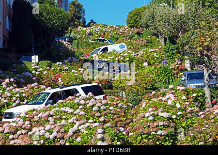 Lombard Street, la strada più tortuosa di San Francisco, California, USA Foto Stock