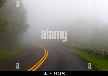 Una stretta strada secondaria che si snoda attraverso una foresta è socked in dalla nebbia che pericolosamente riduce la visibilità per i viaggiatori Foto Stock