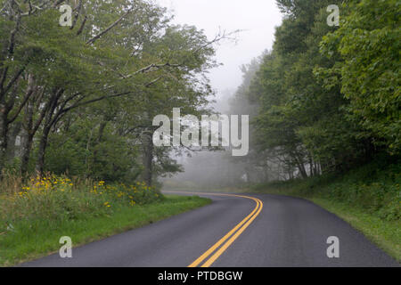 Una stretta strada secondaria che si snoda attraverso una foresta è socked in dalla nebbia che pericolosamente riduce la visibilità per i viaggiatori Foto Stock