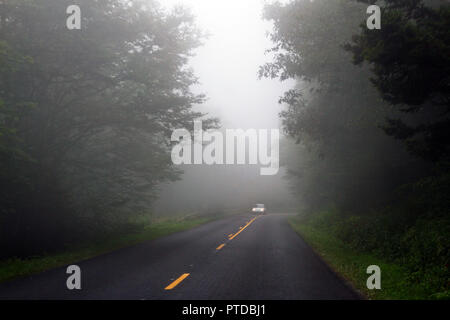 Una vettura si muove lentamente lungo una stretta strada secondaria che si snoda attraverso un buio, foggy forest alta nei Monti Appalachi Foto Stock