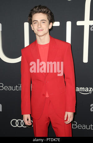 Beverly Hills, Ca. 8 Ott, 2018. TimothŽe Chalamet presso il Los Angeles Premiere di bel ragazzo al Samuel Goldwyn Theater di Beverly Hills, la California il 8 ottobre 2018. Credito: Faye Sadou/media/punzone Alamy Live News Foto Stock