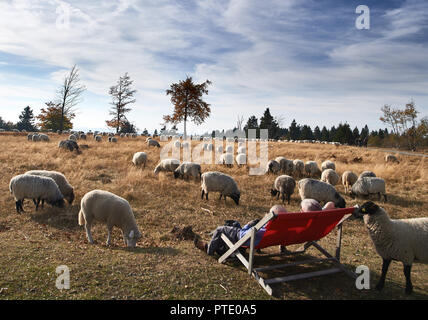 09 ottobre 2018, della Renania settentrionale-Vestfalia, Winterberg: Due escursionisti sedersi sulla Kahler Asten nel mezzo di un gregge di pecore in un doppio sdraio sulla spiaggia al sole. Foto: Bernd Thissen/dpa Foto Stock