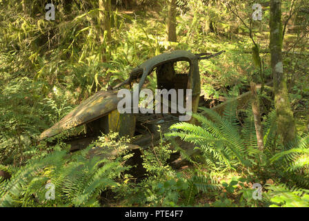 Camion di tronchi scartato a Stave Lake, Mission, British Columbia, Canada Foto Stock