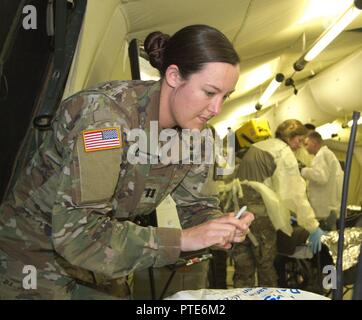 US Army Capt. Ashley Denoyer, chief paziente amministratore della 212th Combat Support Hospital, 30 vigili del medico, prepara un paziente di oggetti personali per il rimessaggio durante un incidente di massa esercizio a Mihail Kogalniceanu Air Base, Romania il 16 luglio 2017. L'esercizio era una parte di Saber Custode, un comando europeo, US Army Europa-led esercizio tra gli Stati Uniti e i suoi alleati e partner che abbraccia diversi paesi in Europa Orientale ed è progettato per favorire la disponibilità e a promuovere la pace nella regione. Foto Stock