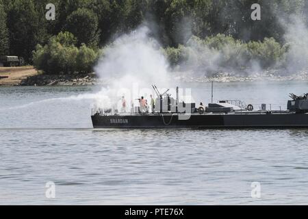 Il rumeno marinai gara a mettere fuori un incendio simulato a bordo della loro nave durante la conduzione di un militare di attraversamento di fiume del Danubio Luglio 15 vicino alla città di Bordusani, Romania durante Saber Guardian 2017. Saber Guardian è un U.S. Esercito Europa-led, esercizio di multinazionali che si estende attraverso la Bulgaria, l Ungheria e la Romania con più di 25.000 membri del servizio da 22 alleati e partner delle nazioni. Foto Stock