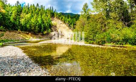 A causa del livello basso di acqua nei primi giorni di settembre il fiume Coldwater habitat del salmone è protetto dalla pesca nei pressi di Brookmere in BC, Canada Foto Stock