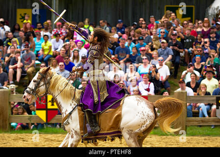 Giostra di giochi a Annapolis Renaissance Festival 2018 Foto Stock