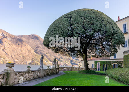 Lecco, Italy-April 1, 2018: Scenic albero nel giardino della famosa Villa del Balbianello a Lecco, Lombardia Foto Stock