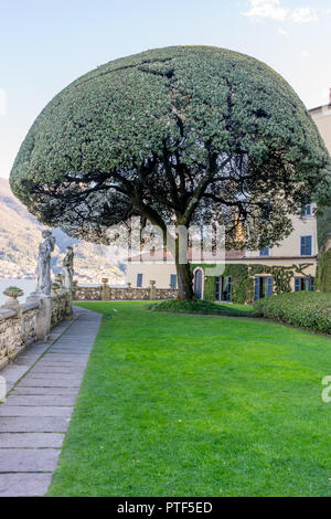 Lecco, Italy-April 1, 2018: Scenic albero nel giardino della famosa Villa del Balbianello a Lecco, Lombardia Foto Stock