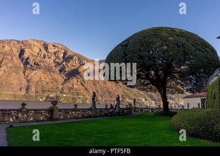 Lecco, Italy-April 1, 2018: Scenic albero nel giardino della famosa Villa del Balbianello a Lecco, Lombardia Foto Stock