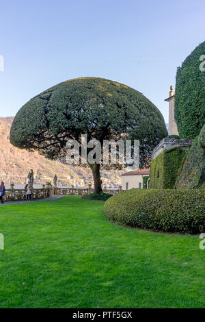 Lecco, Italy-April 1, 2018: Scenic albero nel giardino della famosa Villa del Balbianello a Lecco, Lombardia Foto Stock