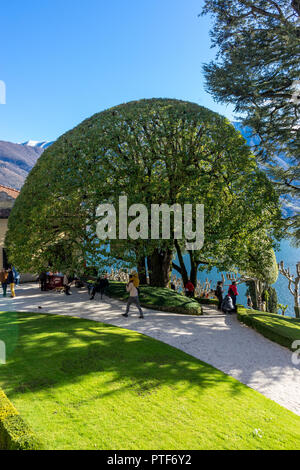 Lecco, Italy-April 1, 2018: Scenic albero giardino che si affaccia sul Lago di Como nella famosa Villa del Balbianello a Lecco, Lombardia Foto Stock