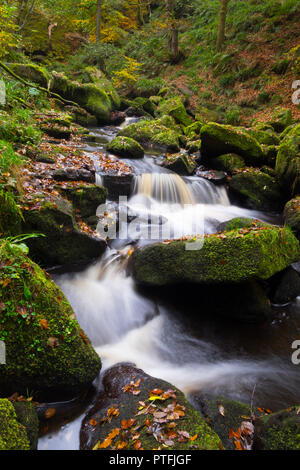 Burbage Brook nel Padley Gorge, autunno Foto Stock