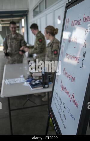 Stati Uniti Air Force 353 operazioni speciali Gruppo di volo chirurgo e il dazio autonomo medical tecnici (IDMTs) forniscono una tattica di combattimento Casualty Care (TCCC) corso di Esercito Australiano e Royal Australian Air Force il personale medico a luglio 15, 2017 a Rockhampton, Australia. Il principale obiettivo del medico di Exchange è stato quello di lavorare a stretto contatto con la Australian Defence Force partner, condividere le esperienze e le tattiche di scambio, formazione e procedure. Foto Stock