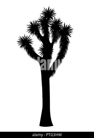 Joshua tree vettore isolato su sfondo bianco. Elemento Desigh con Yucca brevifolia slim e silhouette nera. Illustrazione Vettoriale