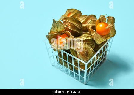 Bacche mature di physalis con foglie secche in un cesto in plastica su uno sfondo blu con spazio per il testo. Vista superiore Foto Stock