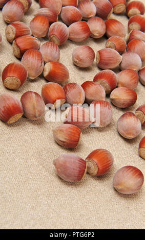 I dadi della foresta giacciono su tela Foto Stock