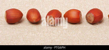 I dadi della foresta giacciono su tela Foto Stock