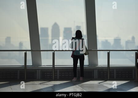 Inquinamento denso su Londra oggi Foto Jeremy Selwyn Foto Stock