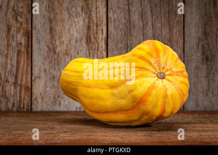 Delicata zucche invernali contro il legno rustico - autunno festivi decorazione Foto Stock